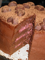 Chocolate Raspberry Layer Cake Cut