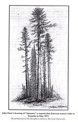 Muir's Sketch of Samoset