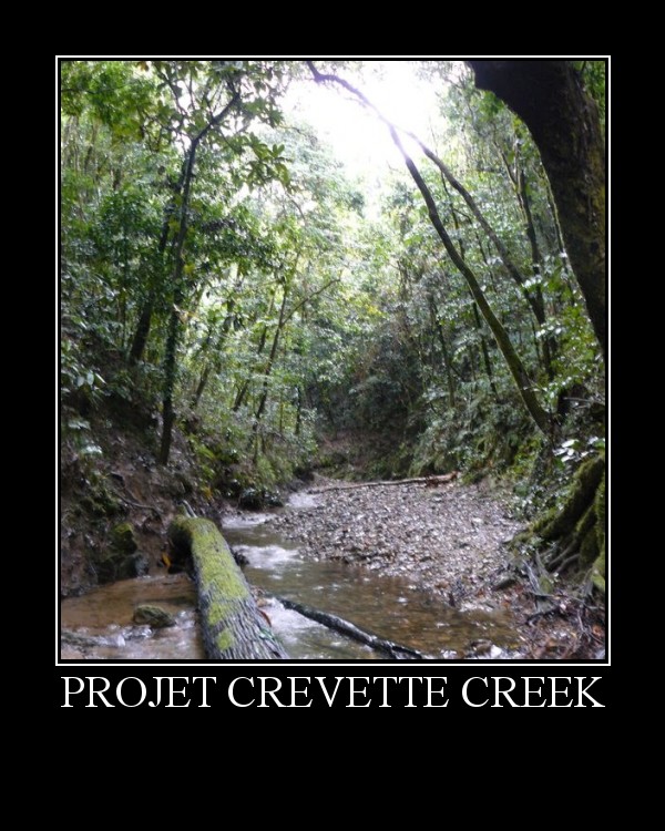 Projet Crevette Creek