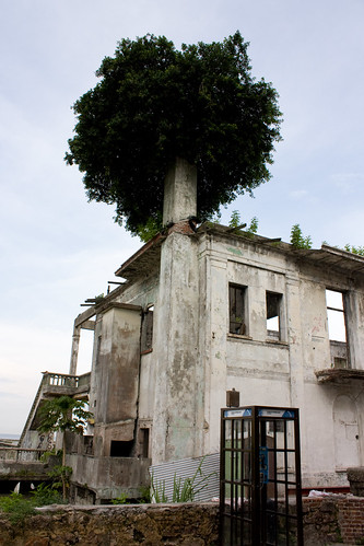 Old Hotel Casco Viego with Ficus growing from chimney