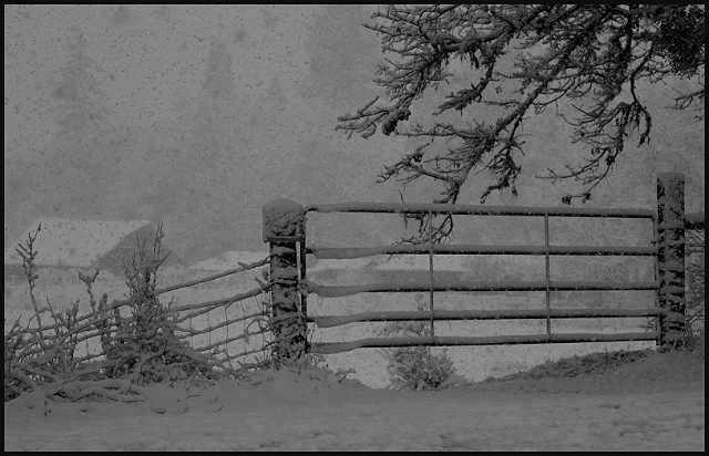 Snow Gate