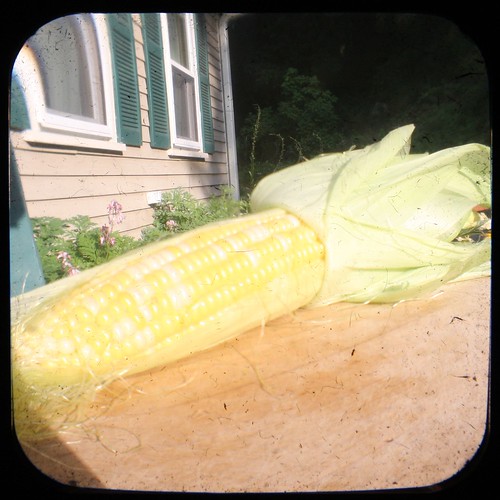 Corn Outdoors