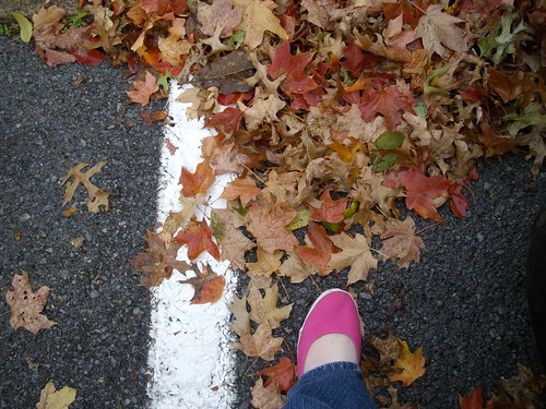 Pink shoes, brown leaves - 5/365