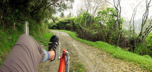 On the wet and slippery Mangapurua Track, Whanganui National Park, New Zealand
