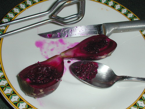 A Scoop of Prickly Pear Pulp