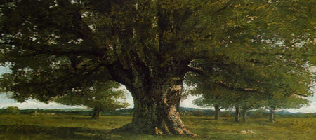 I couldn't think of an visual example of gameplay, so you have pictures of my favourite trees. This is the Oak, the solid tree.