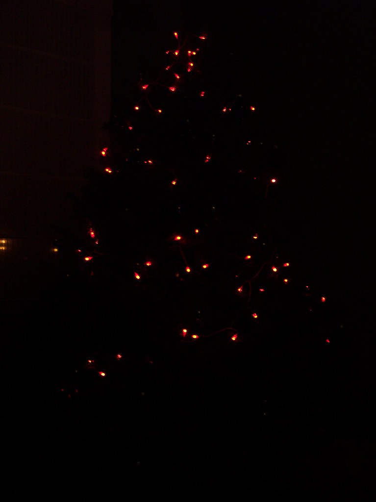 Weihnachtsbaum / christmas tree 2008