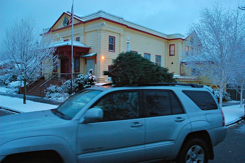 Christmas tree on SUV, Sakya Monastery,  in the fresh snow, Greenwood, Seattle, Washington, USA
