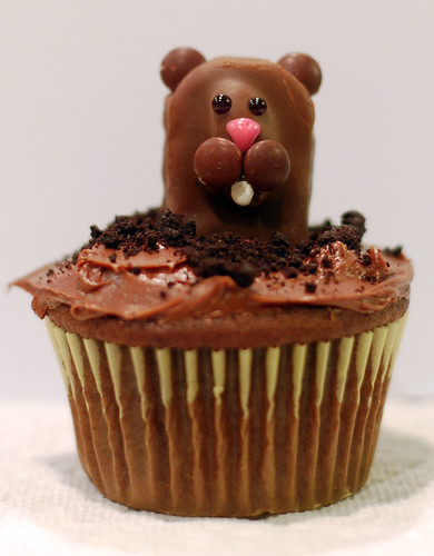 Groundhog cupcakes