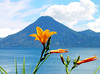 Lake Atitlan with Lilies and a Volcano