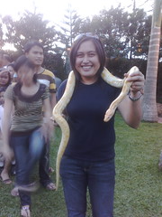 snake.!?!?!?!??!