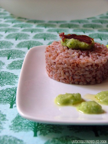 Un piatto per Terra Madre:riso rosso Andasibe, crema di zucchine e bottarga