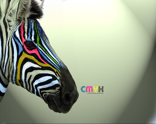 Cebra CMYK wallpaper 1280X1024 by Mapache