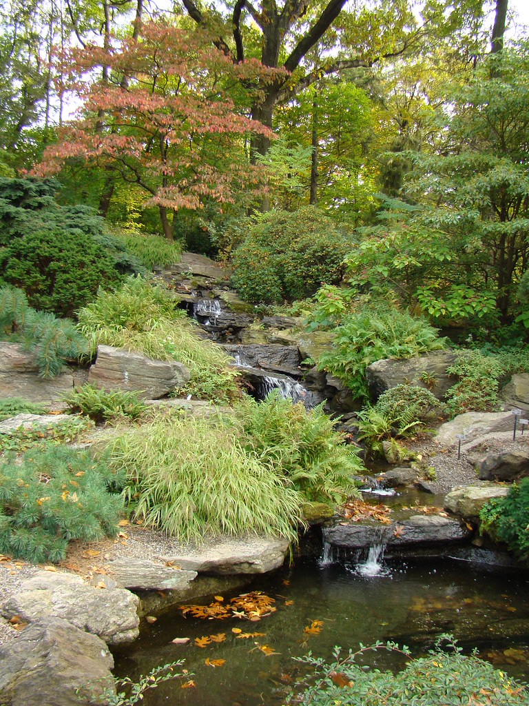 Tranquility by Design in the Rock Garden | NYBG