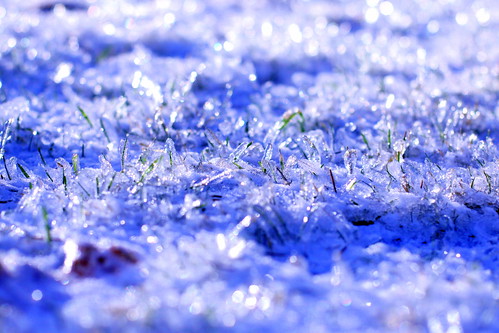 フリー画像|自然風景|雨氷|氷|フリー素材|