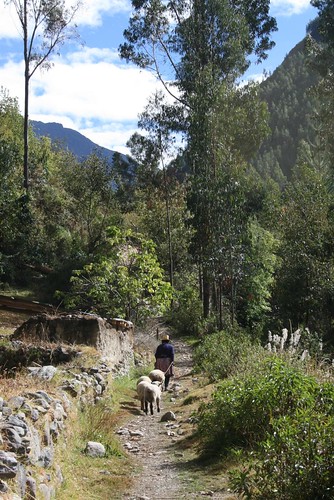 Trail to Pumamarca