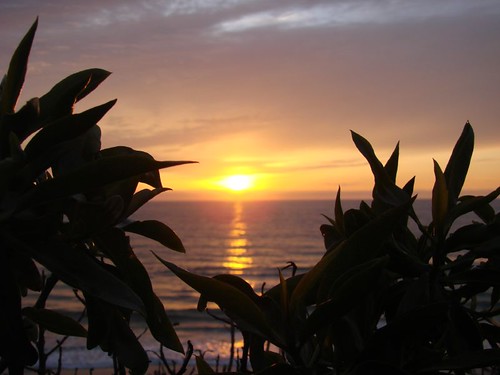 Carlsbad Beach Sunset