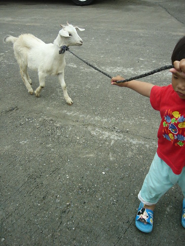 Kid and Lamb