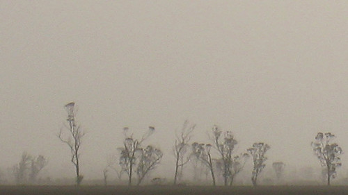 Dust storm near Mukinbudin