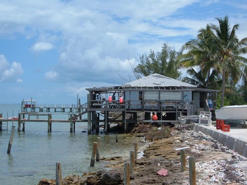 Waterfront Conch Bar