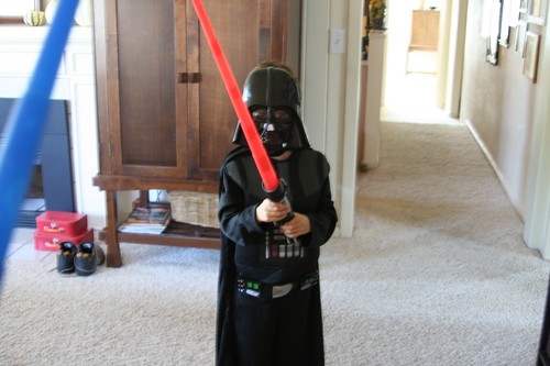 week in the life : hello darth by you.