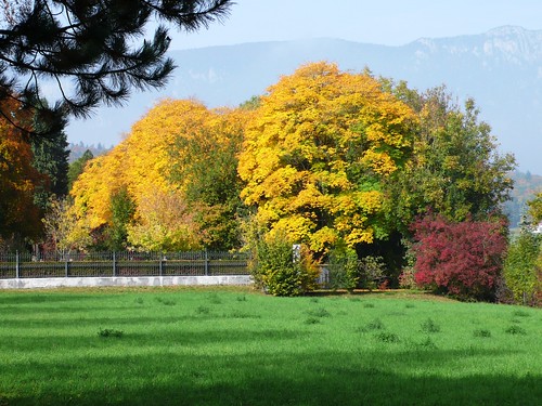 Cemetery, Solothurn, Autumn colours