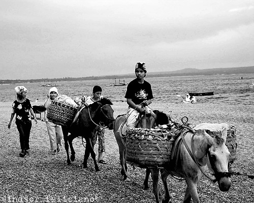 La Luz Beach, San Juan, Batangas merchant vendor horses travelling seaside basket  Buhay Pinoy Philippines Filipino Pilipino  people pictures photos life Philippinen      