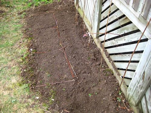 small veggie bed
