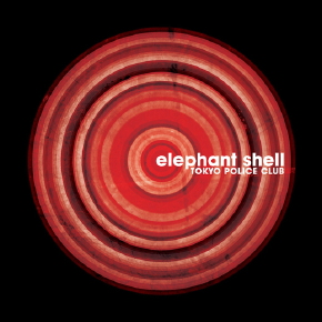 elephant_shell
