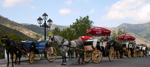 Horse & Cart Transport In Mijas por Al Meakin.