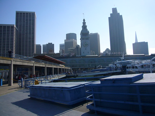 downtown viewed from the ferry terminal