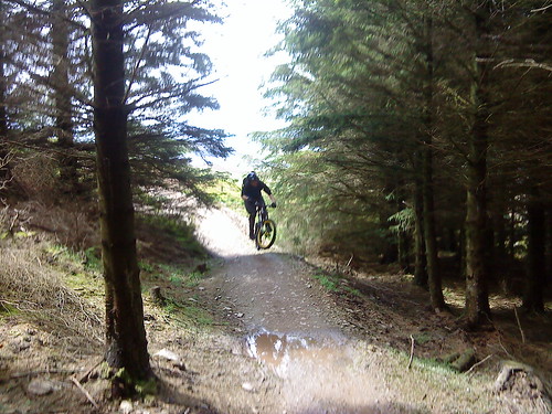 jump in trail daryl