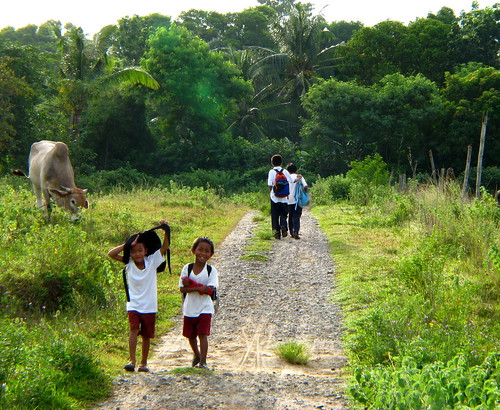 school boys commuting rural area uniform  Pinoy Filipino Pilipino Buhay  people pictures photos life Philippinen  菲律宾  菲律賓  필리핀(공화국) Philippines  cow  
