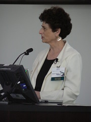 Image of Janet Murray presenting at Faculty Academy 2008