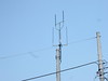 antenna for mobile phone
