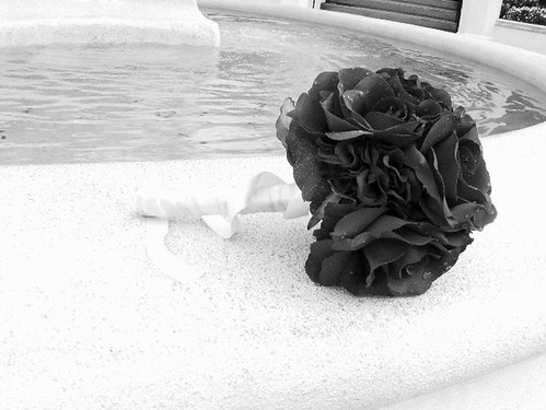 black and white photography roses. Black and white photography.