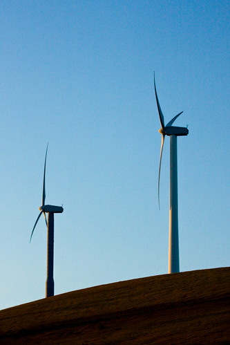 Wind mills, Altamont Pass