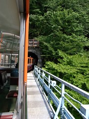 森石橋を渡るトロッコ電車