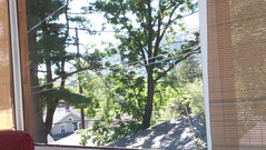 Porch View 2