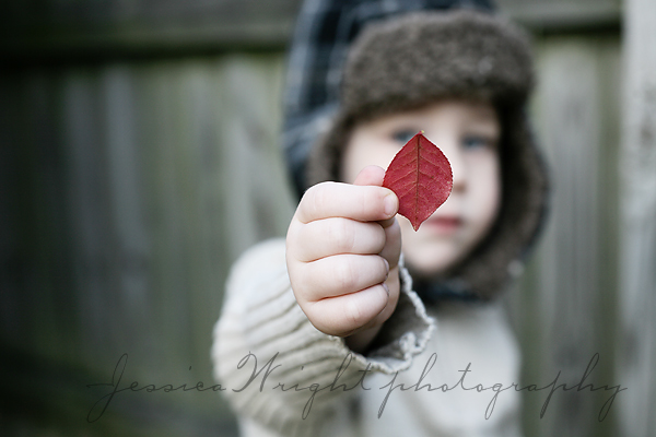 Red leaf for mommy