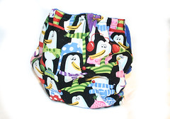 *Sale* Funky Penguin Large Fly Baby Designs Pocket Diaper *Free Shipping*