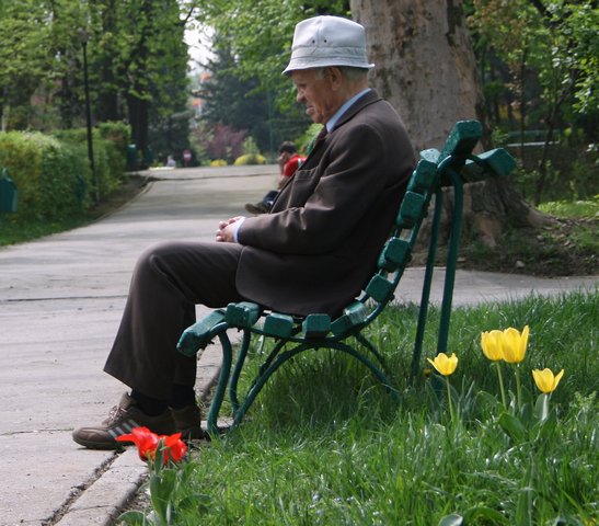 Old Man Recollecting in Bucharest Park