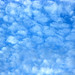 藍天白雲變化萬千18.jpg
