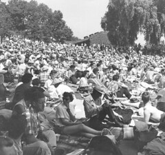 This crowd of folks was in Mount Baker watching the Seafair hydroplane races in 1965. Plan to do the same this year? Light rail can get you there. Photo courtesy of Seattle Municipal Archives.
