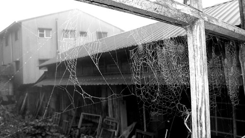 12.黑白的窗格與蜘蛛網