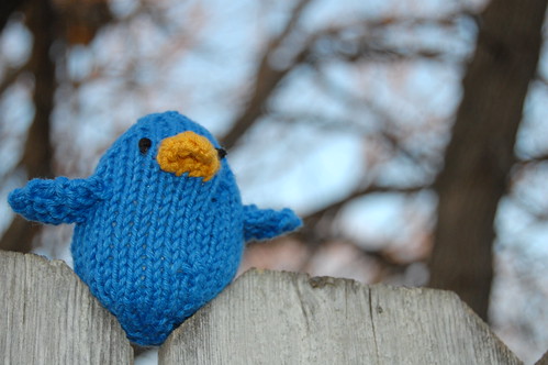 Close-up Twitter Bird on the Fence by kopp0041, on Flickr