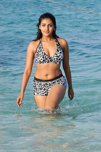 Kousha in sexy bikini