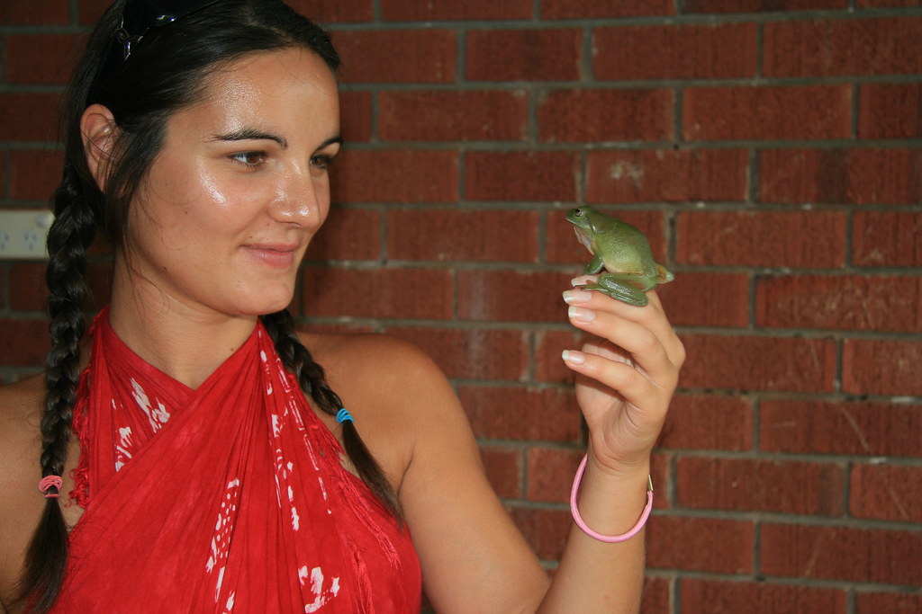 Priscilla with Green Tree frog