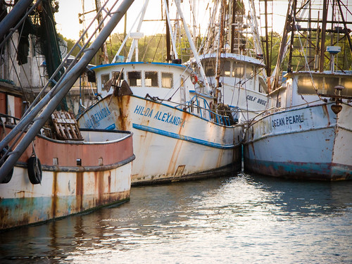 shrimp boats in Port Lavaca, TX