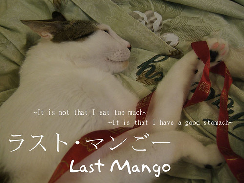 LAST_MANGO